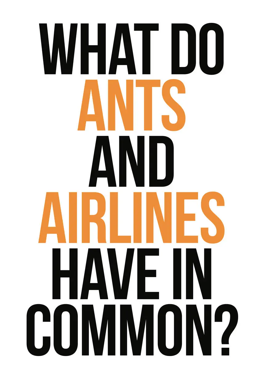 Why was an antbased simulation a good idea for Southwest What do ants and - фото 3