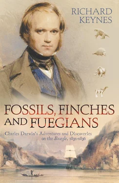 Richard Keynes Fossils, Finches and Fuegians: Charles Darwin’s Adventures and Discoveries on the Beagle обложка книги