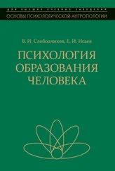 Виктор Слободчиков - Психология образования человека. Становление субъектности в образовательных процессах
