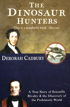Deborah Cadbury The Dinosaur Hunters: A True Story of Scientific Rivalry and the Discovery of the Prehistoric World обложка книги
