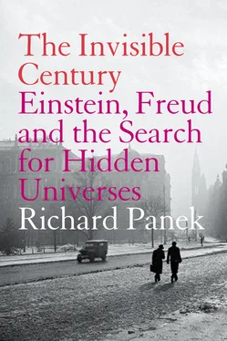 Richard Panek The Invisible Century: Einstein, Freud and the Search for Hidden Universes обложка книги