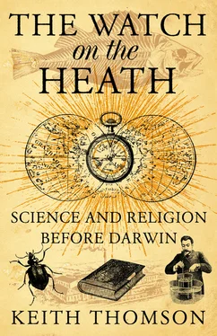 Keith Thomson The Watch on the Heath: Science and Religion before Darwin обложка книги
