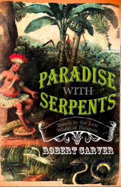 Robert Carver Paradise With Serpents: Travels in the Lost World of Paraguay обложка книги