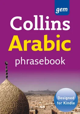 Collins Dictionaries Collins Arabic Phrasebook and Dictionary Gem Edition обложка книги