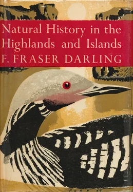 F. Darling Natural History in the Highlands and Islands обложка книги