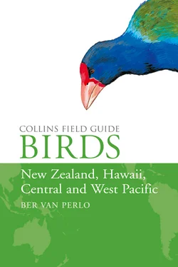 Ber Perlo Birds of New Zealand, Hawaii, Central and West Pacific обложка книги