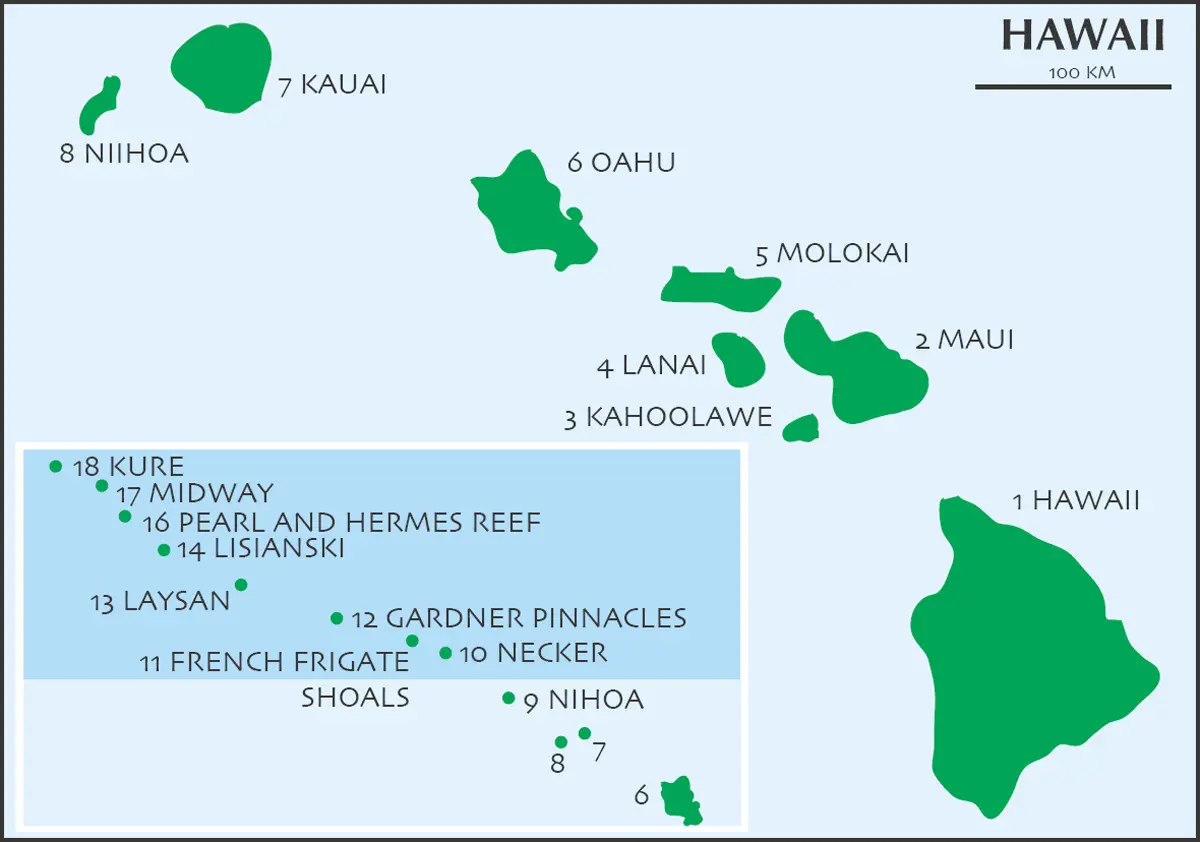 Fiji Endemics 149 species incl the following 28 endemics 92 Конец - фото 23