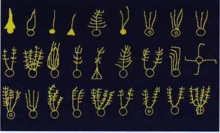 Ancient Chinese astrological classification of comets known as broom stars - фото 20