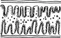 Villi with brush border and particles of food for absorption and digestion - фото 2
