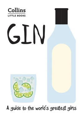 Dominic Roskrow Gin: A guide to the world’s greatest gins обложка книги