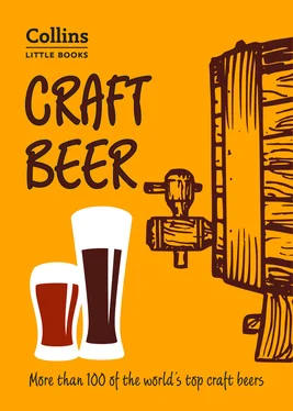 Dominic Roskrow Craft Beer: More than 100 of the world’s top craft beers обложка книги