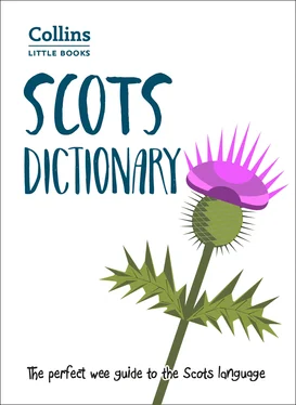 Collins Dictionaries Scots Dictionary: The perfect wee guide to the Scots language обложка книги