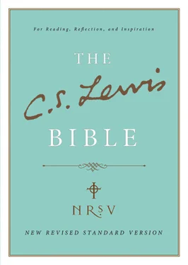 C. Lewis C. S. Lewis Bible: New Revised Standard Version обложка книги