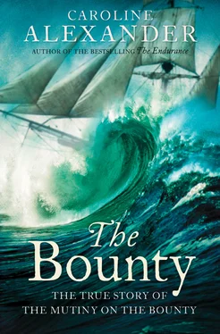Caroline Alexander The Bounty: The True Story of the Mutiny on the Bounty обложка книги