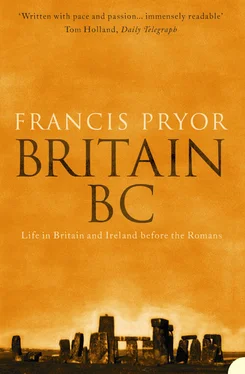 Francis Pryor Britain BC: Life in Britain and Ireland Before the Romans обложка книги