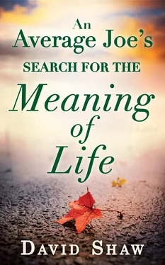 David Shaw An Average Joe's Search For The Meaning Of Life обложка книги