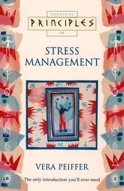 Vera Peiffer Stress Management: The only introduction you’ll ever need обложка книги