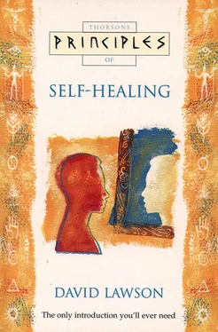 David Lawson Self-Healing: The only introduction you’ll ever need обложка книги