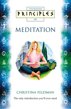 Christina Feldman Meditation: The only introduction you’ll ever need обложка книги