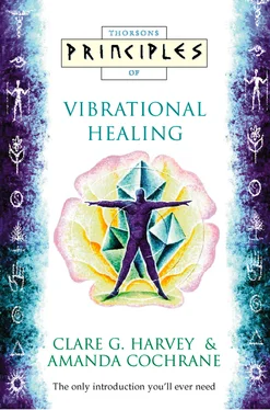 Amanda Cochrane Vibrational Healing: The only introduction you’ll ever need обложка книги