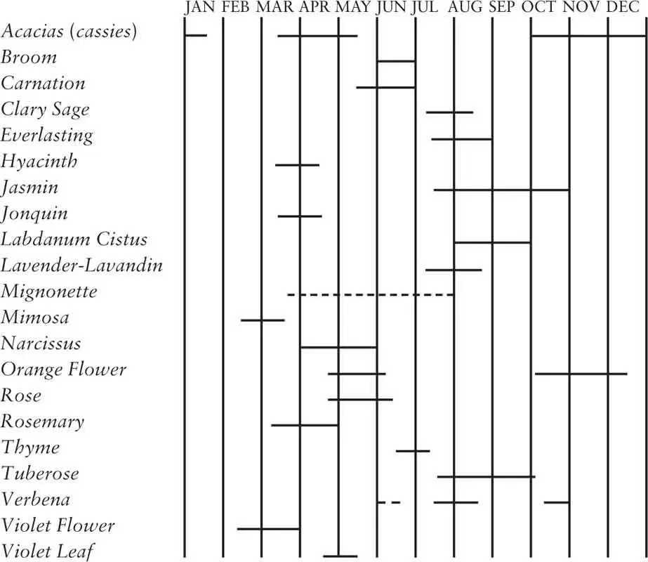 Periods of the year for the treatment of various flowers once grown in - фото 7