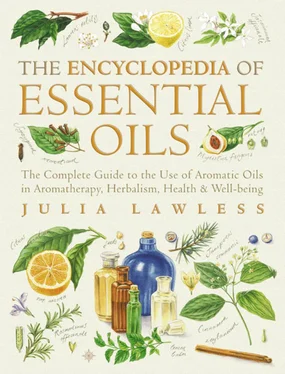 Julia Lawless Encyclopedia of Essential Oils: The complete guide to the use of aromatic oils in aromatherapy, herbalism, health and well-being. обложка книги