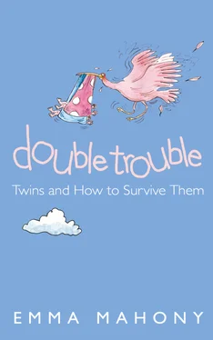 Emma Mahony Double Trouble: Twins and How to Survive Them обложка книги