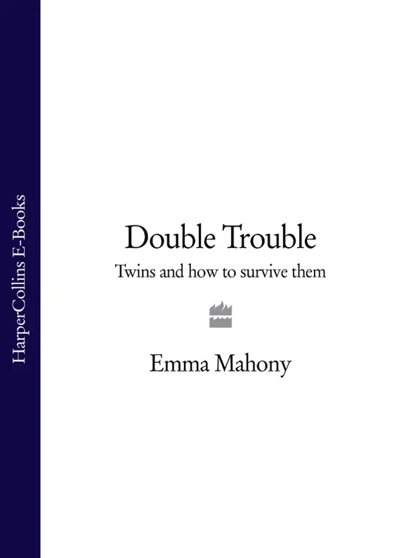 Double Trouble Twins and How to Survive Them EMMA MAHONY with chapter cartoon - фото 1