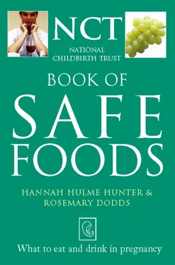 Rosie Dodds Safe Food: What to eat and drink in pregnancy обложка книги
