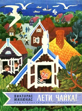 Викторас Милюнас Лети, чайка! обложка книги