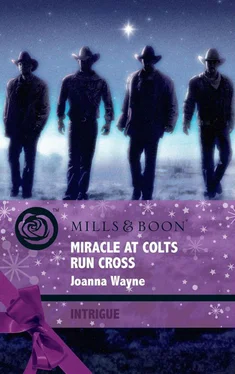 Joanna Wayne Miracle at Colts Run Cross обложка книги
