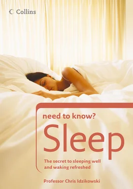Prof. Idzikowski Sleep: The secret to sleeping well and waking refreshed обложка книги