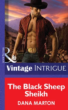 Dana Marton The Black Sheep Sheik обложка книги