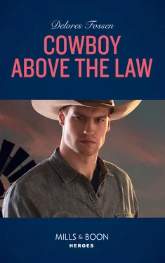 Delores Fossen Cowboy Above The Law обложка книги