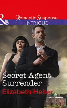 Elizabeth Heiter Secret Agent Surrender обложка книги