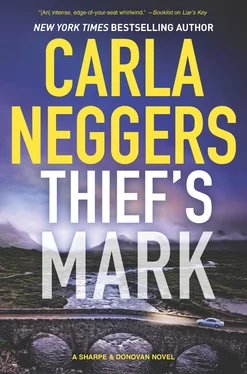 Carla Neggers Thief's Mark обложка книги