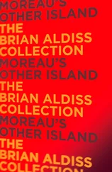 Brian Aldiss - Moreau’s Other Island