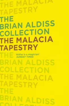Brian Aldiss The Malacia Tapestry обложка книги