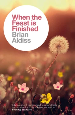 Brian Aldiss When the Feast is Finished обложка книги