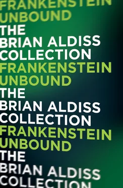 Brian Aldiss Frankenstein Unbound обложка книги