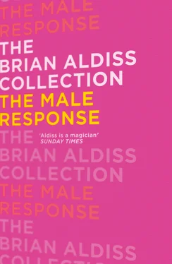 Brian Aldiss The Male Response обложка книги