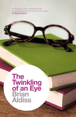 Brian Aldiss The Twinkling of an Eye обложка книги