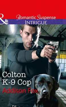 Addison Fox Colton K-9 Cop обложка книги