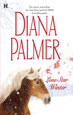 Diana Palmer Lone Star Winter: The Winter Soldier обложка книги