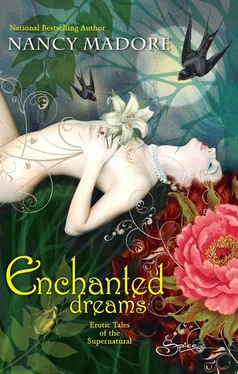 Nancy Madore Enchanted Dreams: Erotic Tales Of The Supernatural обложка книги