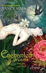 Nancy Madore - Enchanted Dreams - Erotic Tales Of The Supernatural