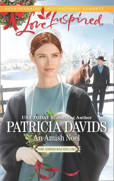 Patricia Davids An Amish Noel обложка книги