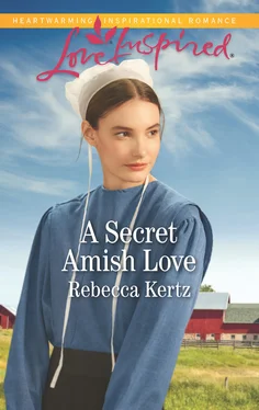 Rebecca Kertz A Secret Amish Love обложка книги