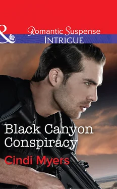 Cindi Myers Black Canyon Conspiracy обложка книги