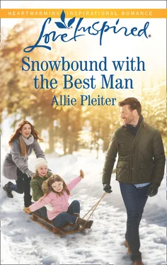 Allie Pleiter Snowbound With The Best Man обложка книги